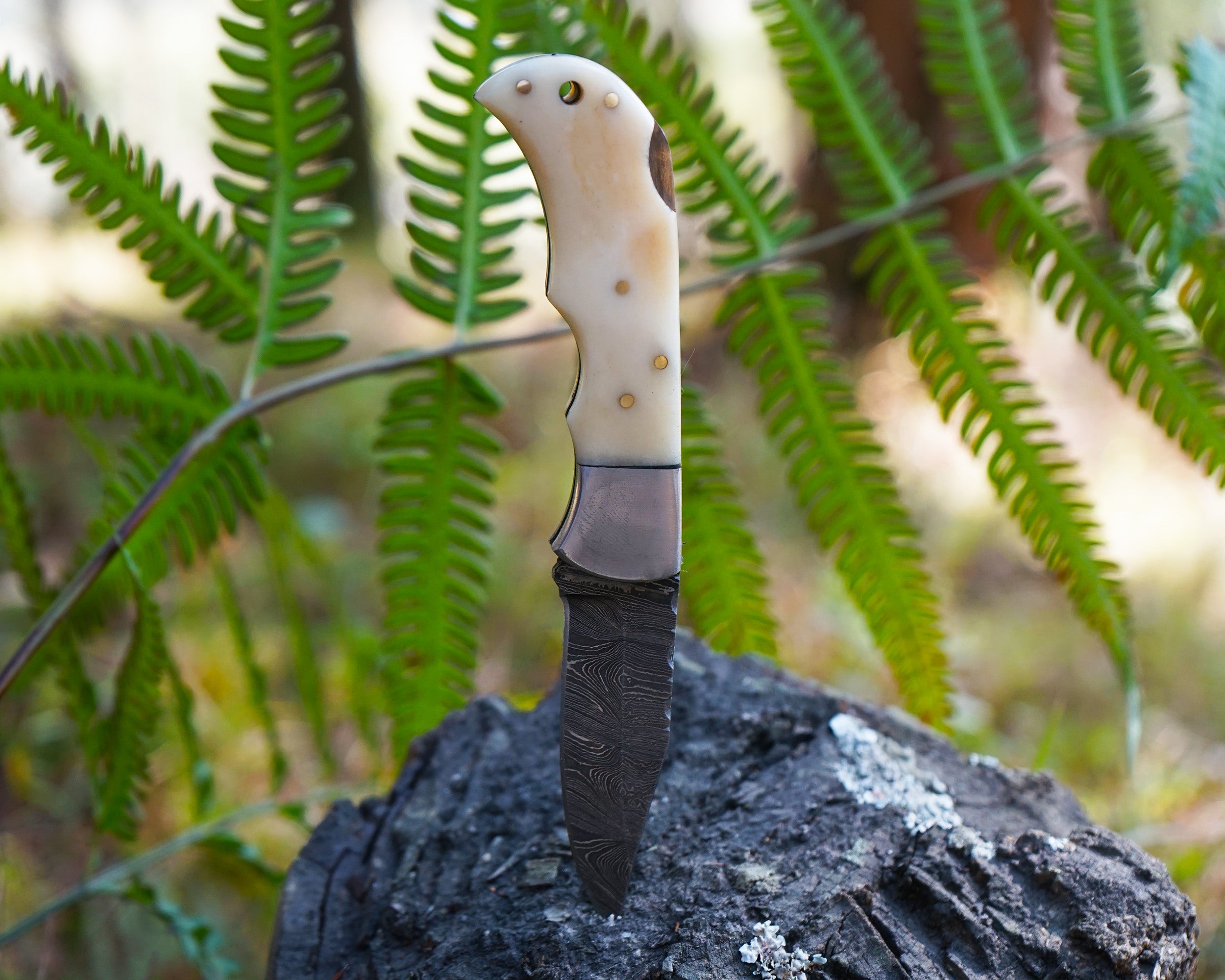 Handmade Damascus Folding Knife - Bone Handle, Razor Sharp EDC Pocket Knife, Premium Hunting, Survival, Outdoor and Collectible Blade