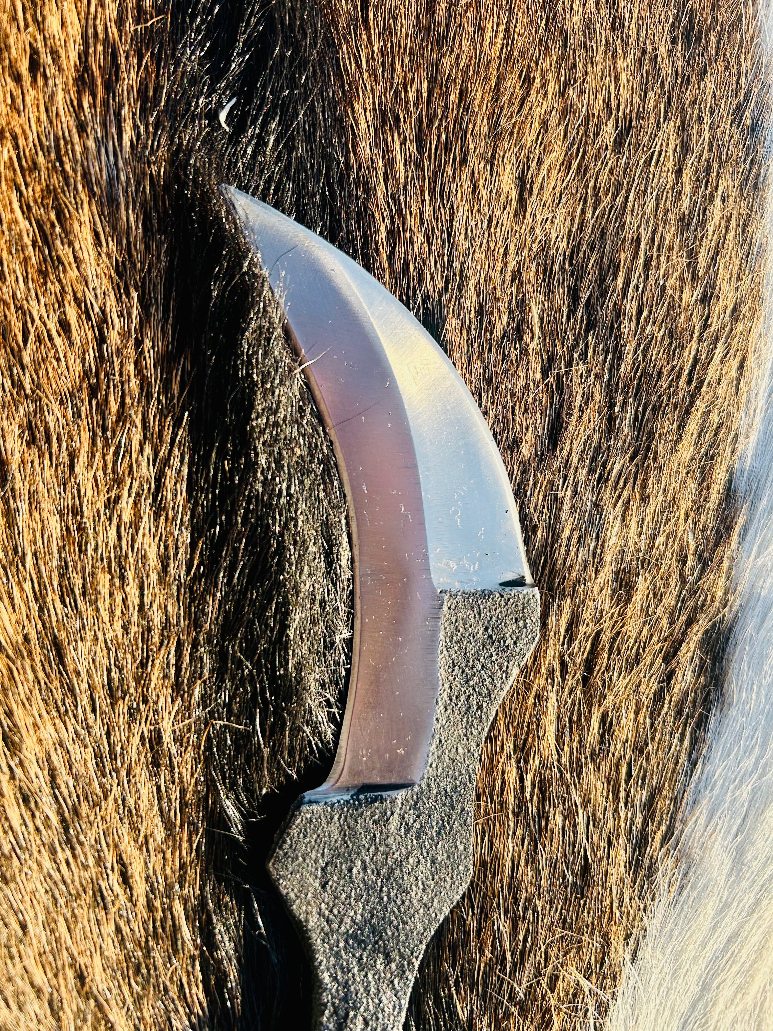 Karambit Railroad Spike Knife - Best Handmade Spike Knife for Hunting - Carbon handle