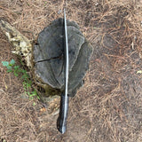 Khukuri blade stucked in log shown above angle of khukuri blade for thickness measurement and durability testing