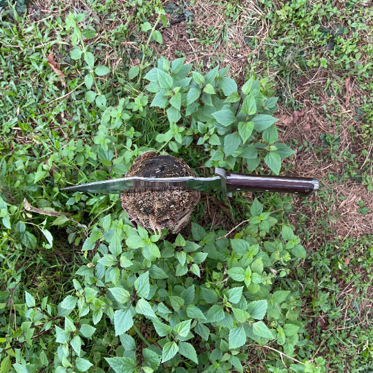 Tikau Kukri knife chopping wood outdoors, showcasing its survival and hunting capability”