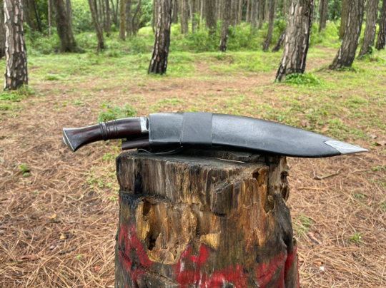 12.5 inch Flat belly Bhojpuri Khukuri , Historical Mirror polished kukri , Hand Forged Knife, Spring Leaf blade Ready to use kukri knife,