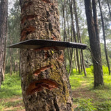 12 inch Hand Forged Hunting Seax Viking knife | Full Tang Balance tempered Survival Tools | Blade From Nepal