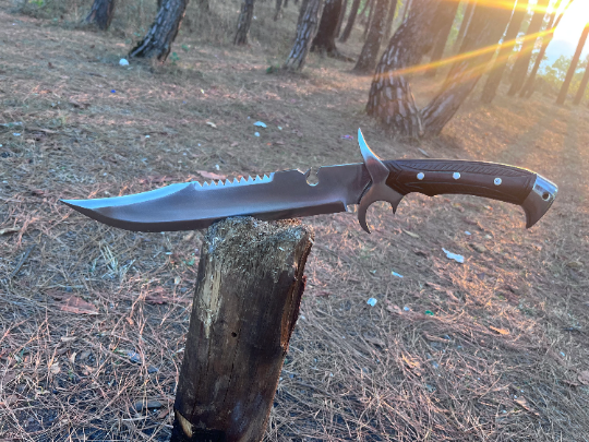 Hand forged 13 inch bowie knife | Highly Graded Carbon Steel | Machete Survival Tools | Full Tang Using knife | Balanced Water Tempered