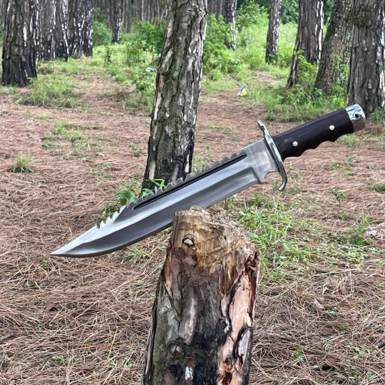 A 12 inch fixed blade knife with a brown leather scabbard, placed on a wooden stump in a natural outdoor setting.