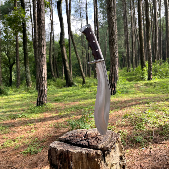 11 inch Handmade Spring steel khukuri knife, Tactical Full tang kurki knife, Hunting knives, Roosewood Handle, Hand forged blade