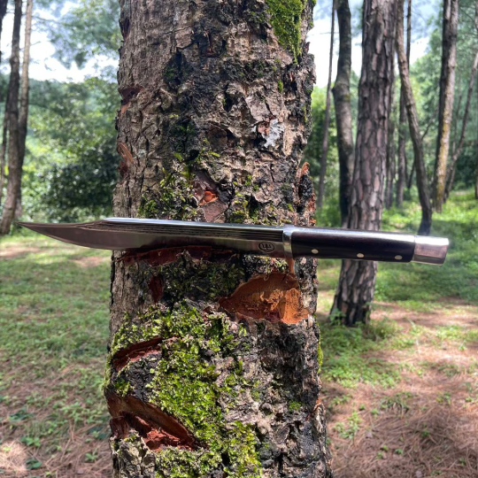 11 inch bowie knife used for camping stucked in wooden log