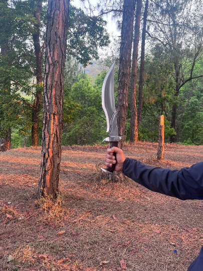 13 inch Hand forged Bowie knife | Highly Graded Carbon Steel Tactical knife | Bushcraft Knife | Balanced Water Tempered | Gift for him