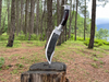 10 Inch Hand forged Bowie knife, Jeep Leaf Spring Eagle knife, hunting ready to use knives, Handmade tactical knife