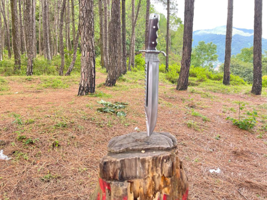 12 inch Rescue Rambo Fixed blade knife in wooden log