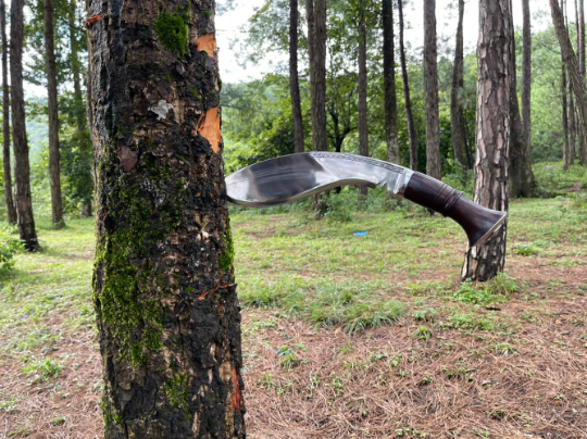 12.5 inch Flat belly Bhojpuri Khukuri , Historical Mirror polished kukri , Hand Forged Knife, Spring Leaf blade Ready to use kukri knife,