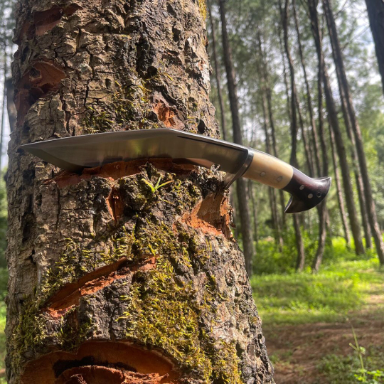 Ready to use Chukukri on wood block for bushcraft and outdoor carving adventure