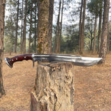 Decorative shining sword with a wooden handle on a tree stump in a forest for camping and protection setting