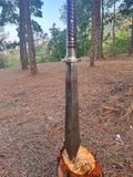 Long sword on a wooden stump in a forest setting
