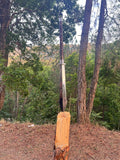 Sword embedded in a wooden block with a forest background