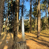 Machete Sword embedded in a tree stump in a forest setting used for camping and protection and widlife