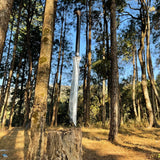 Sword embedded in a tree stump in a forest setting while camping 