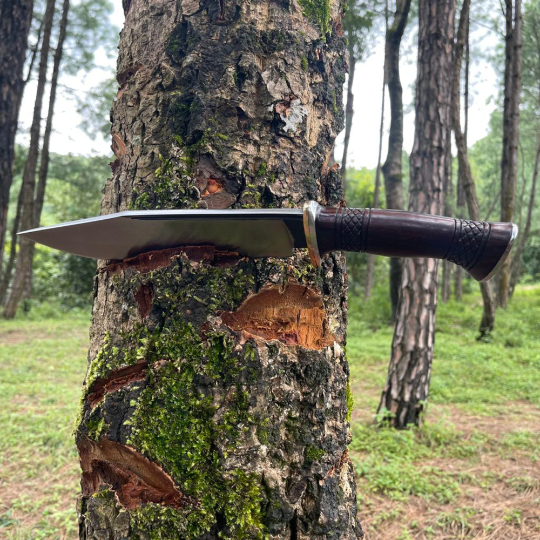 10 inches Blade Hand crafted Bowie knife, Bushcraft knife, full tang, leaf spring of truck, Tempered, Razor Sharpen, Ready to use